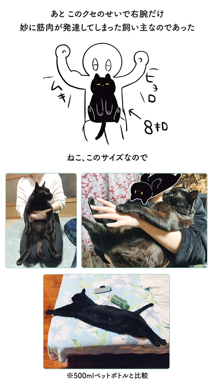 『黒猫ろんと暮らしたら』1～3 15543970.webp