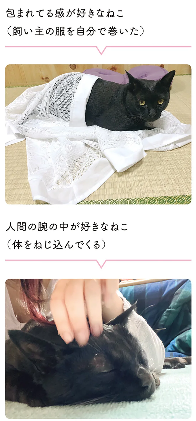 『黒猫ろんと暮らしたら』1～3 15543982.webp