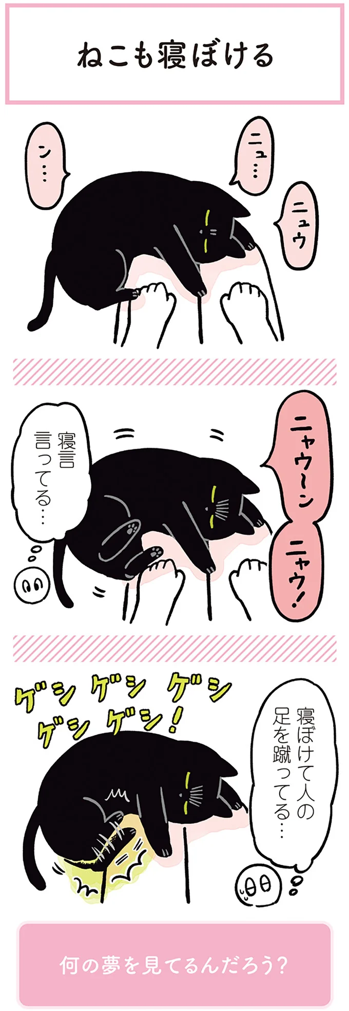 『黒猫ろんと暮らしたら』1～3 15543983.webp