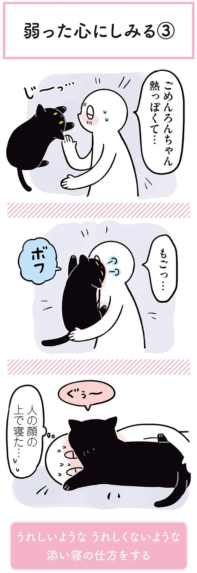 『黒猫ろんと暮らしたら』1～3 15544007.webp