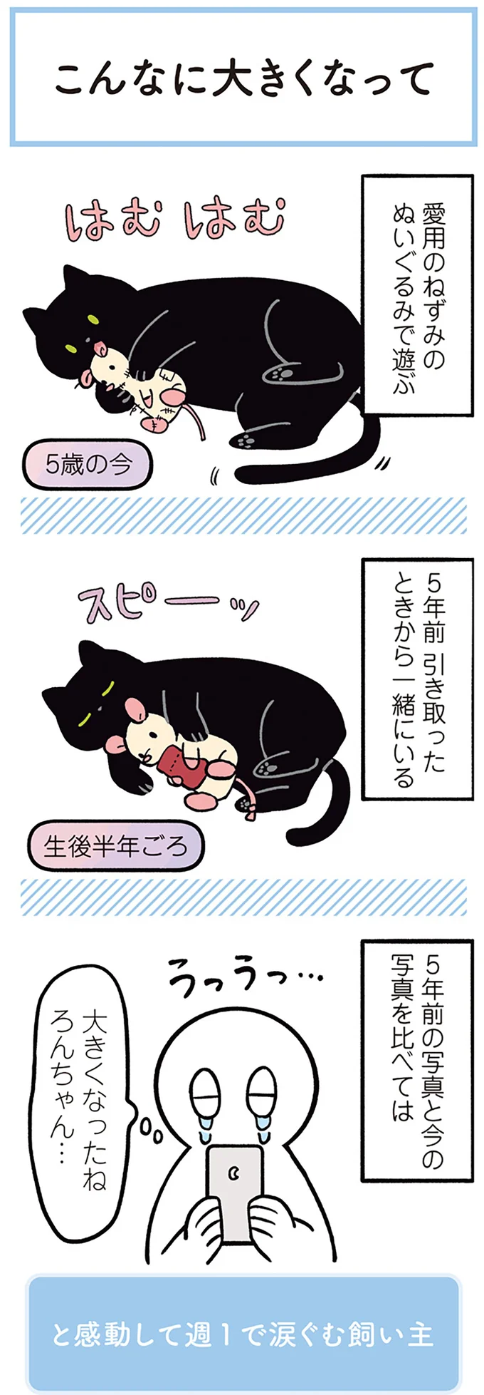 『黒猫ろんと暮らしたら』1～3 15544028.webp