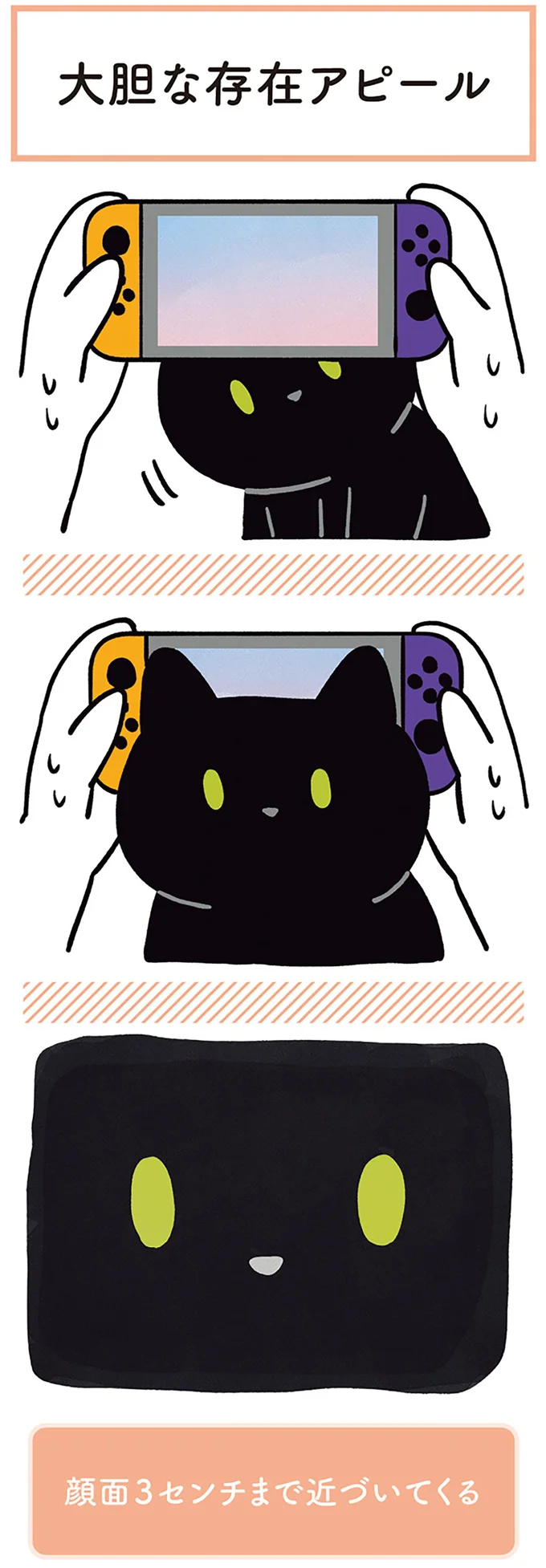 『黒猫ろんと暮らしたら』1～3 15544042.webp