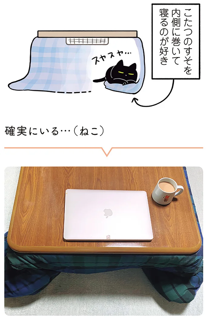 『黒猫ろんと暮らしたら』1～3 15544048.webp