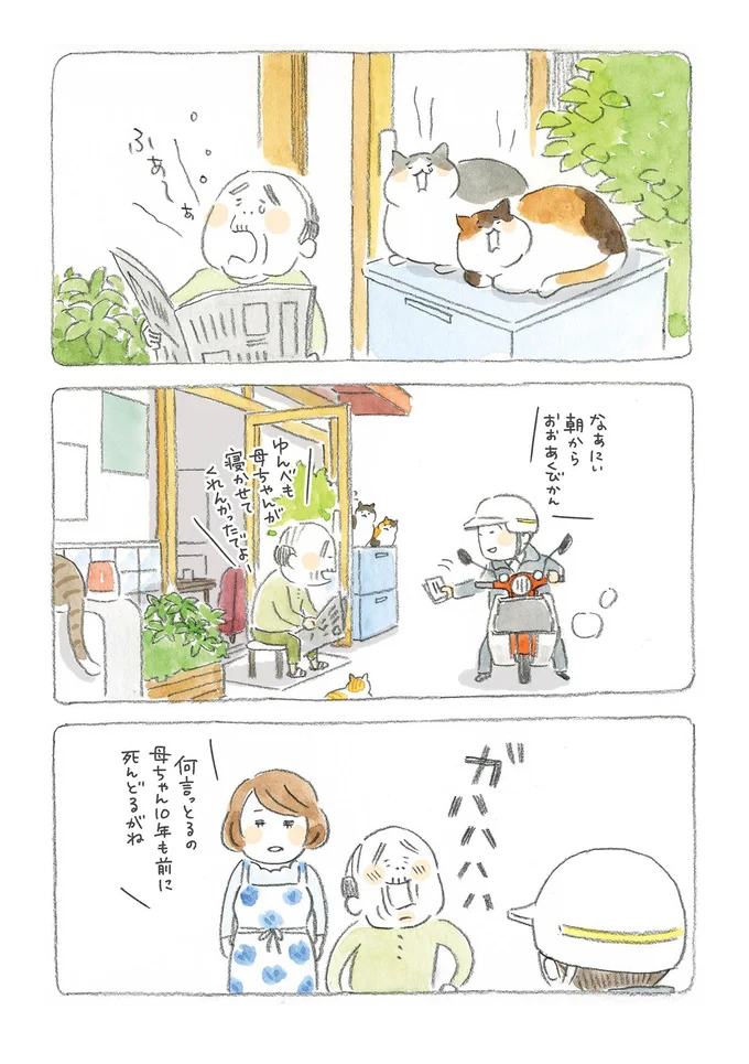 港にも町にも路地裏にも！ ねこの町の穏やかな日常／ねことじいちゃん 15559673.webp