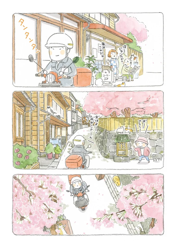 港にも町にも路地裏にも！ ねこの町の穏やかな日常／ねことじいちゃん 15559674.webp