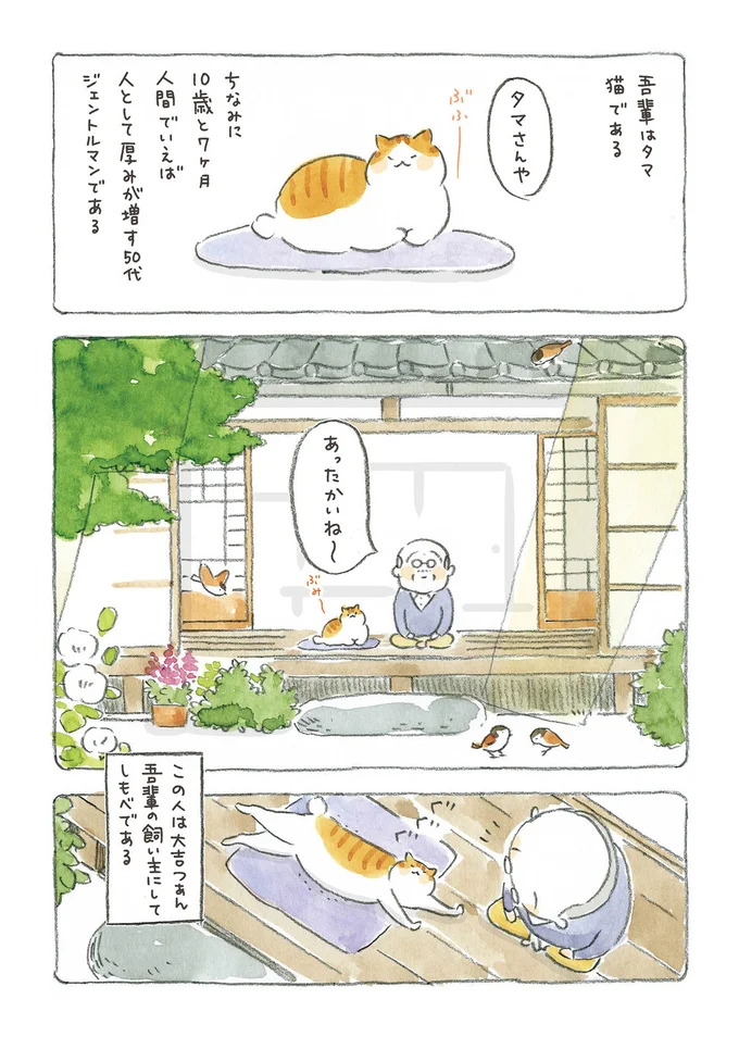 『ねことじいちゃん』1～5 15559739.webp