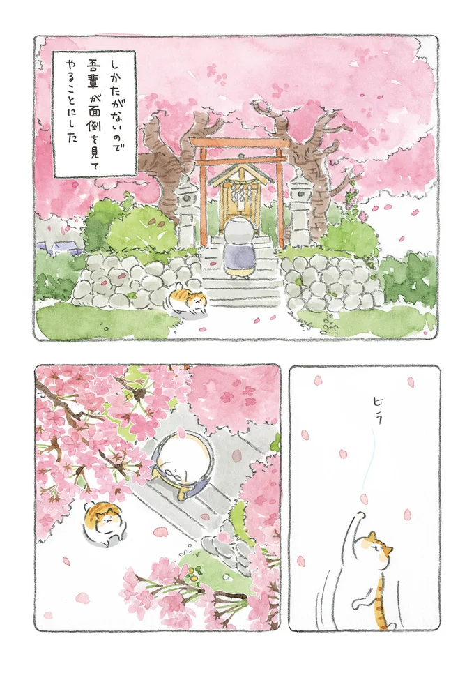 『ねことじいちゃん』1～5 15559743.webp