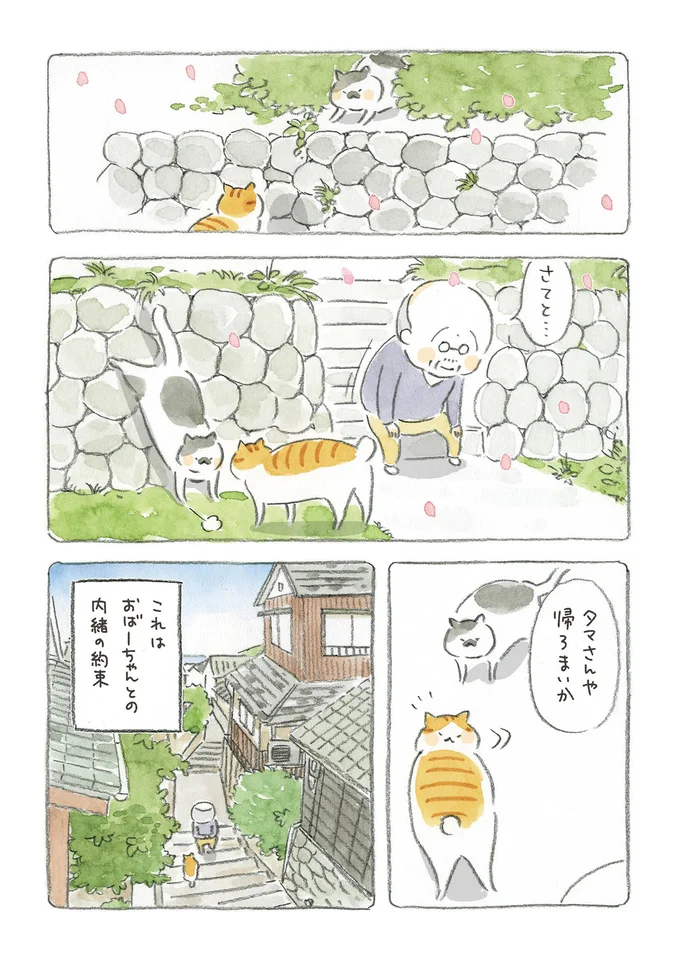 『ねことじいちゃん』1～5 15559744.webp