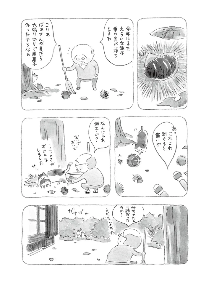 『ねことじいちゃん』1～5 15559911.webp