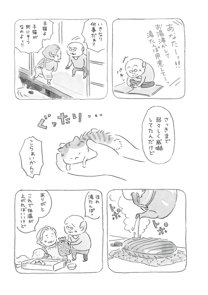 『ねことじいちゃん』1～5 15559914.webp