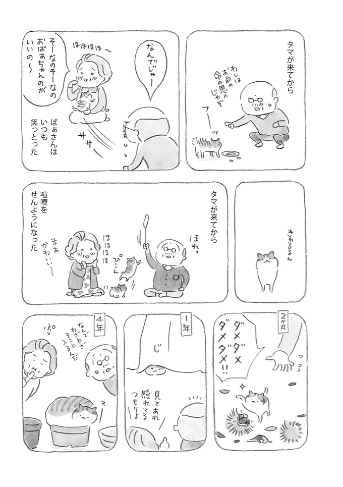 『ねことじいちゃん』1～5 15559916.webp