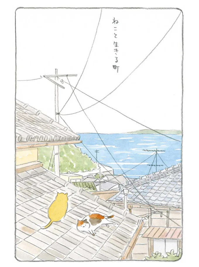 『ねことじいちゃん』1～5 15559939.webp