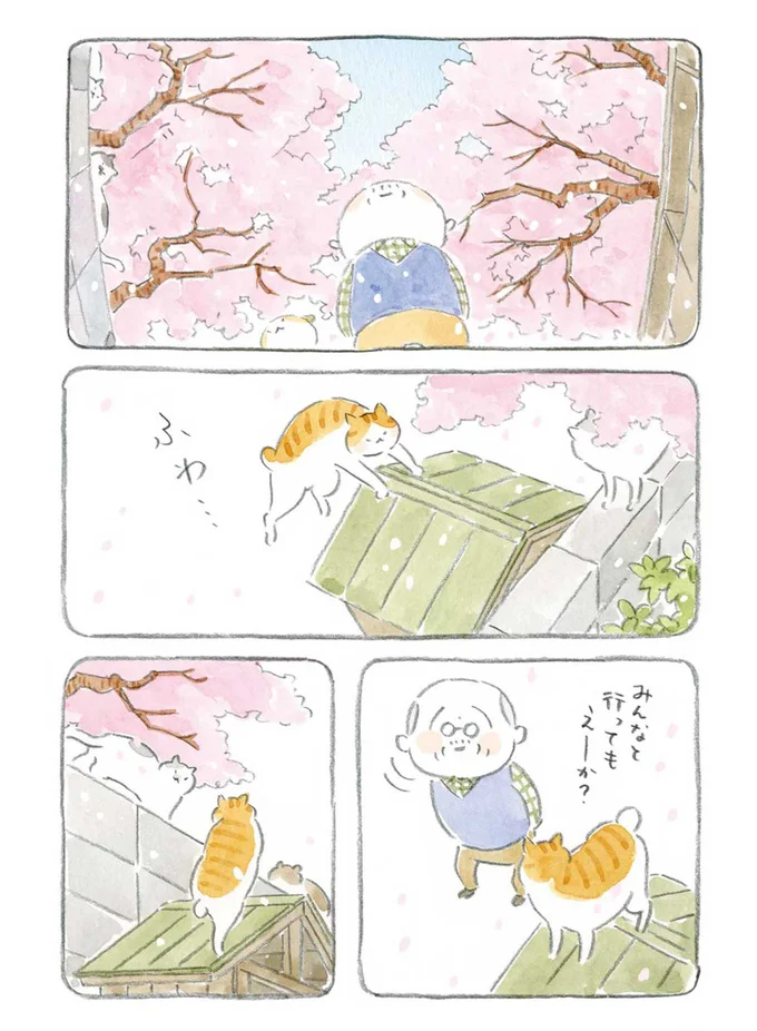 『ねことじいちゃん』1～5 15559944.webp