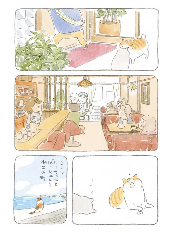 『ねことじいちゃん』1～5 15559946.webp