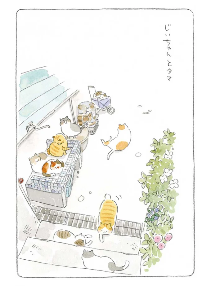 『ねことじいちゃん』1～5 15559990.webp