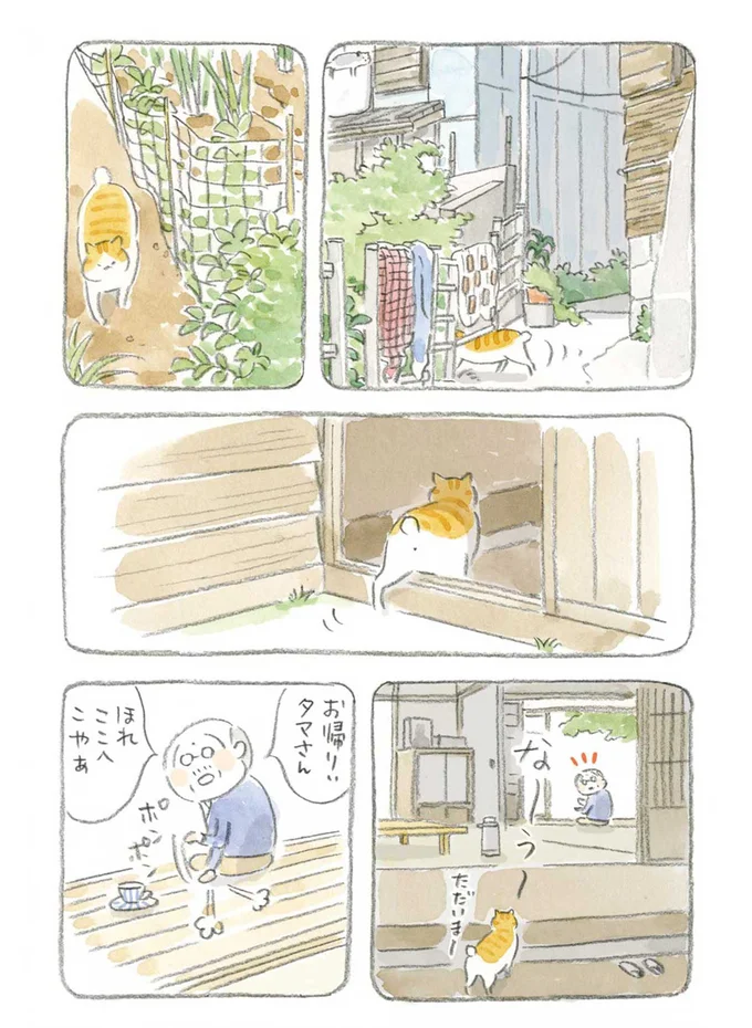 『ねことじいちゃん』1～5 15559993.webp
