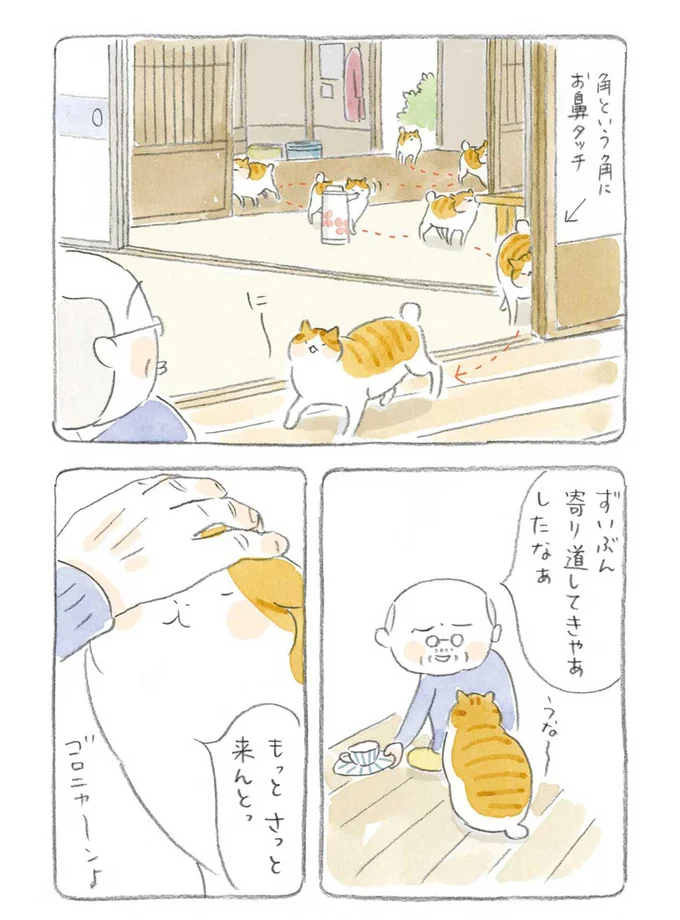 『ねことじいちゃん』1～5 15559994.webp