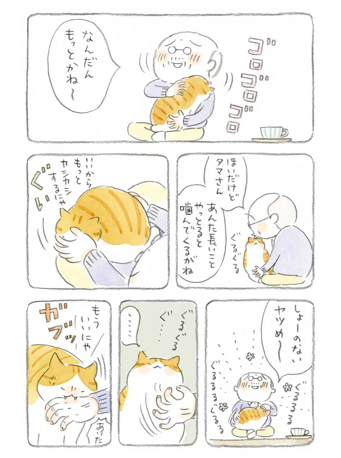 『ねことじいちゃん』1～5 15559996.webp