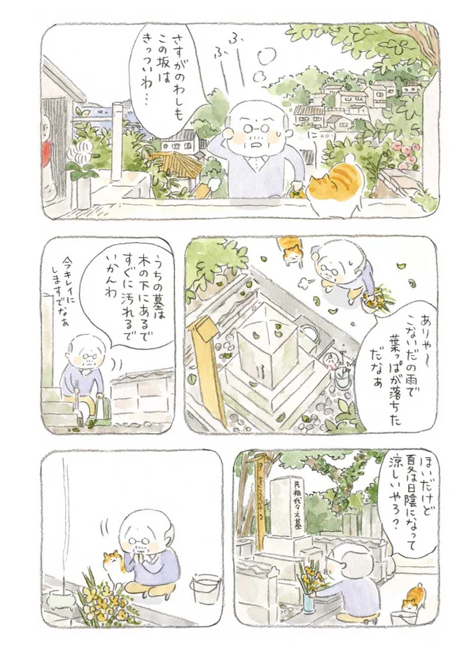 『ねことじいちゃん』1～5 15560017.webp