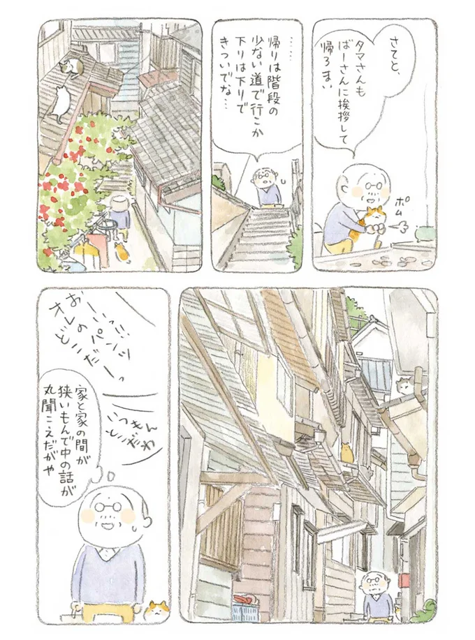 『ねことじいちゃん』1～5 15560018.webp