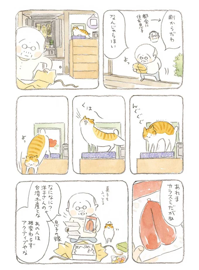 『ねことじいちゃん』1～5 15560029.webp