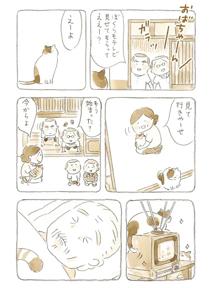 『ねことじいちゃん』1～5 15560051.webp