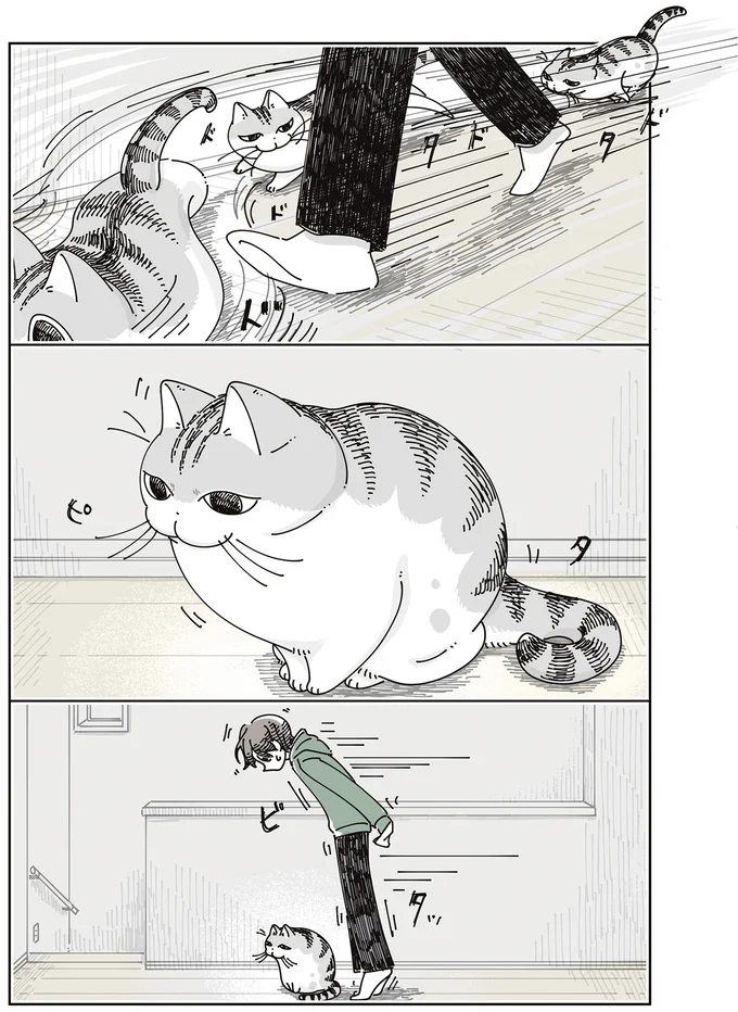 『夜は猫といっしょ』7～8 15567283.webp