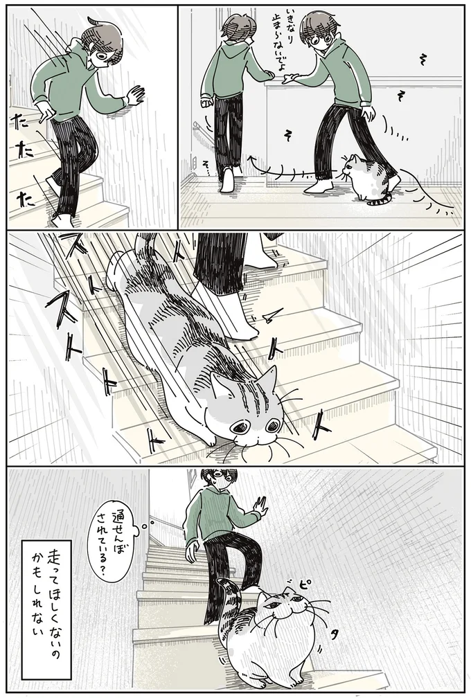 『夜は猫といっしょ』7～8 15567284.webp