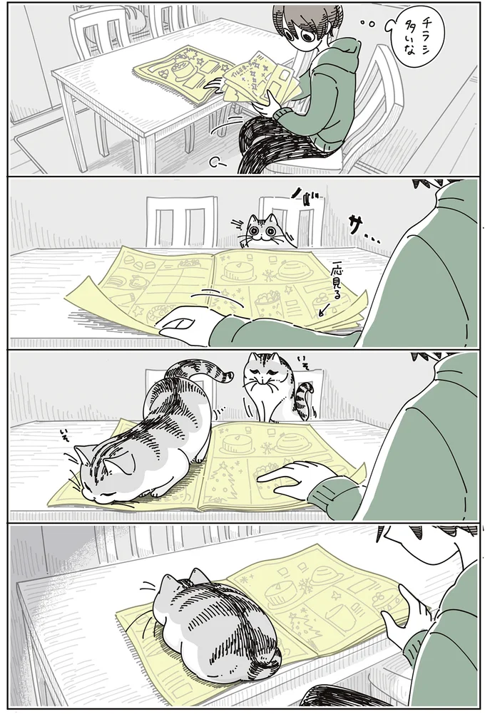 『夜は猫といっしょ』7～8 15588636.webp