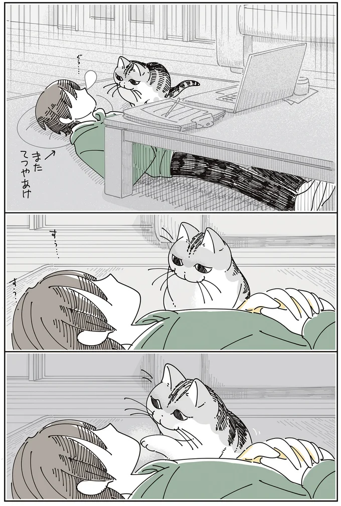 『夜は猫といっしょ』7～8 15588646.webp