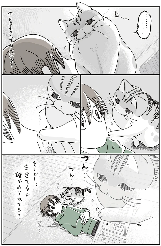 『夜は猫といっしょ』7～8 15588648.webp