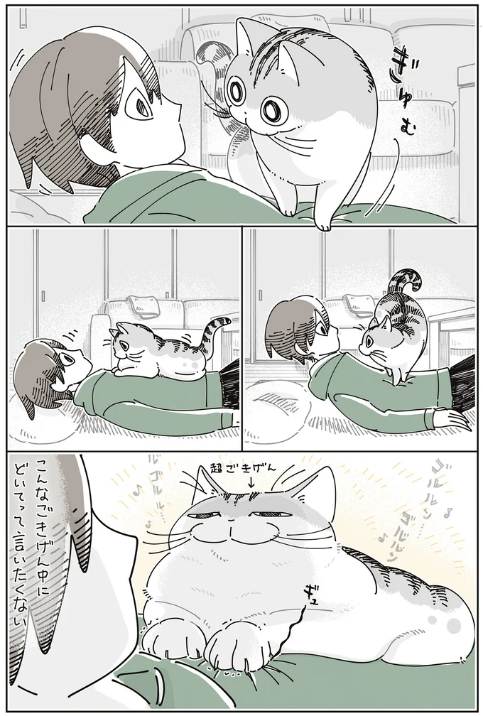 『夜は猫といっしょ』7～8 15588651.webp