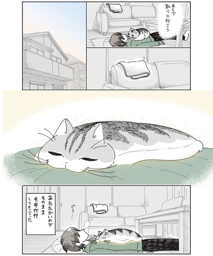 『夜は猫といっしょ』7～8 15588652.webp