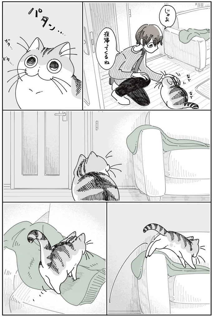 『夜は猫といっしょ』7～8 15588657.webp