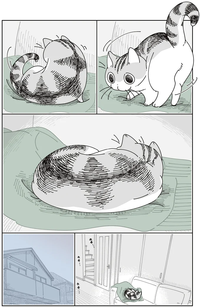 『夜は猫といっしょ』7～8 15588658.webp