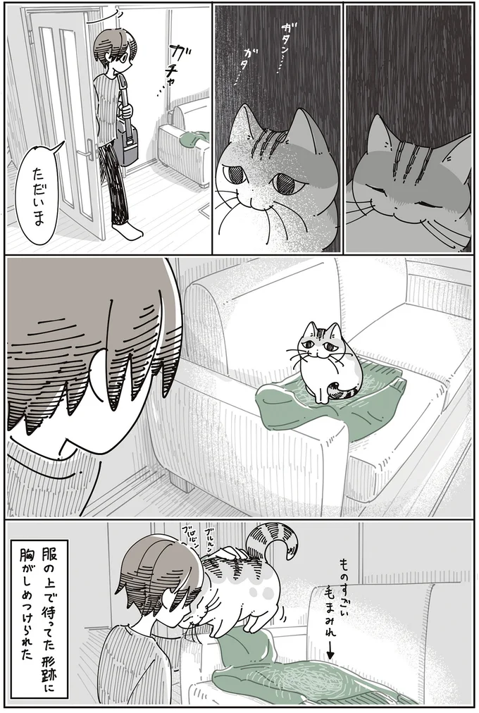 『夜は猫といっしょ』7～8 15588659.webp