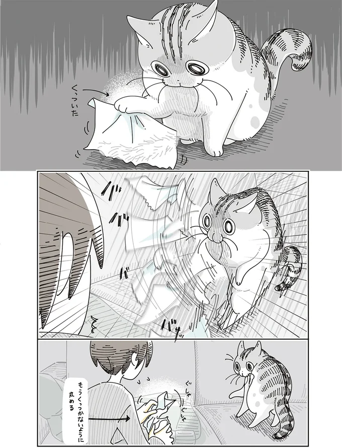 『夜は猫といっしょ』7～8 15588663.webp