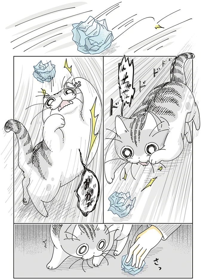 『夜は猫といっしょ』7～8 15588666.webp