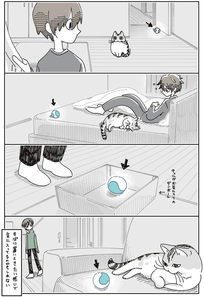 『夜は猫といっしょ』7～8 15588677.webp