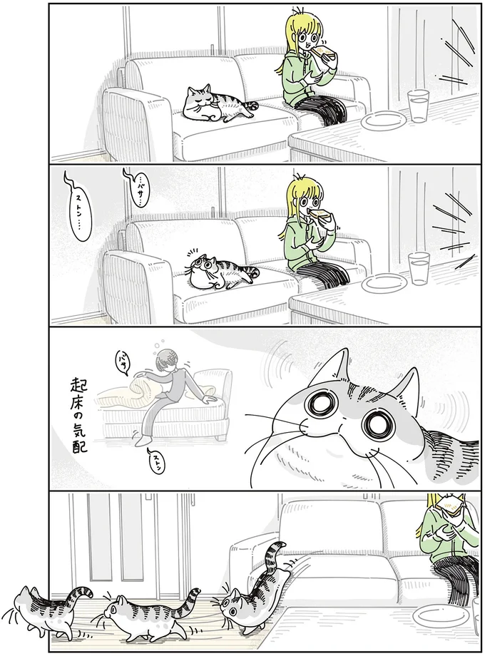 『夜は猫といっしょ』7～8 15588684.webp