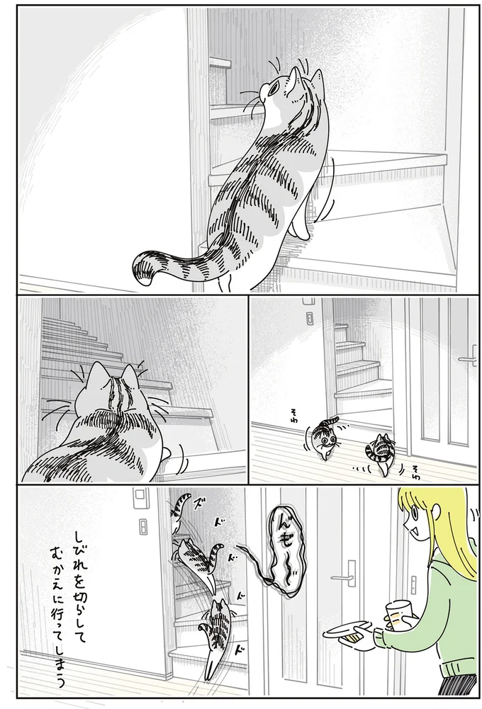 『夜は猫といっしょ』7～8 15588686.webp