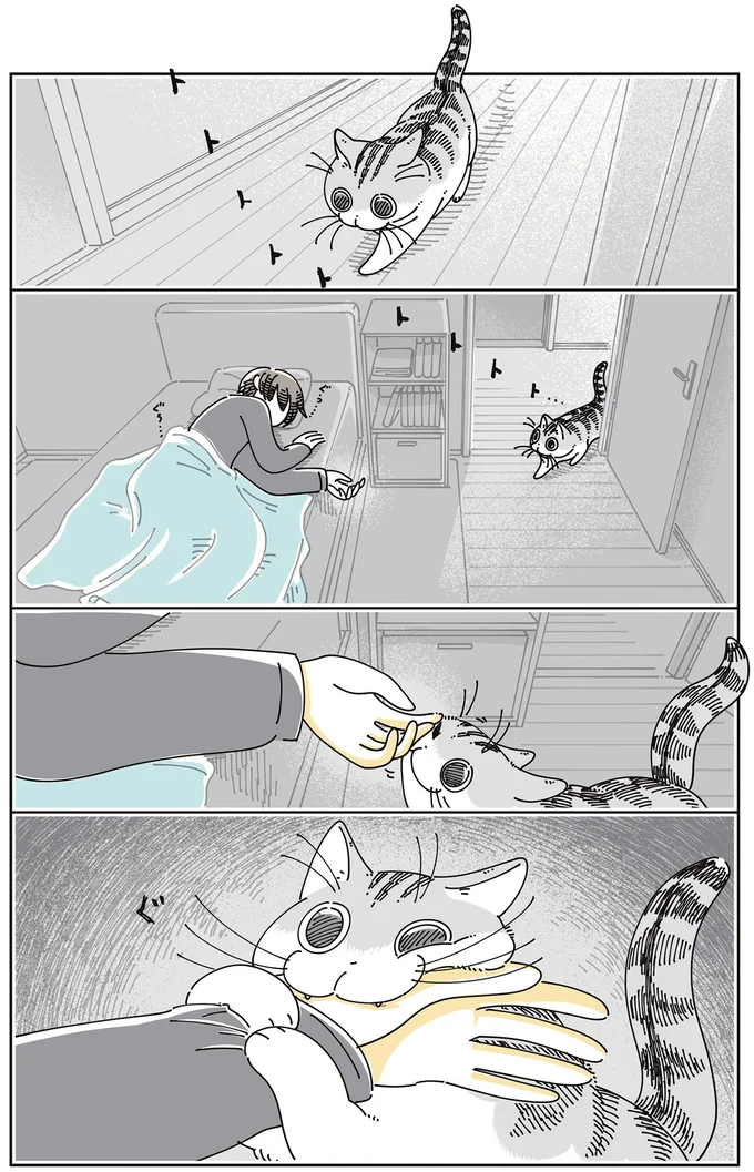 『夜は猫といっしょ』7～8 15588688.webp