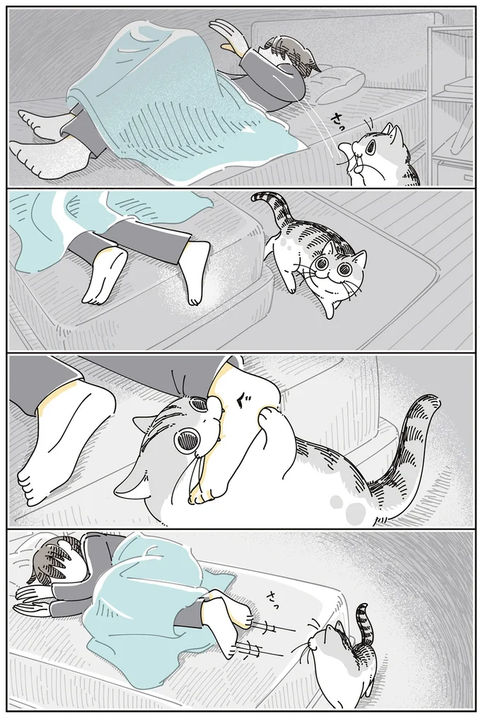 『夜は猫といっしょ』7～8 15588689.webp