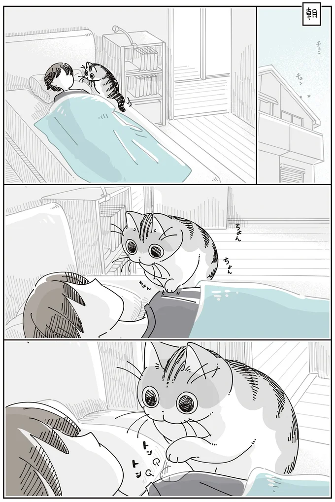 『夜は猫といっしょ』7～8 15588692.webp