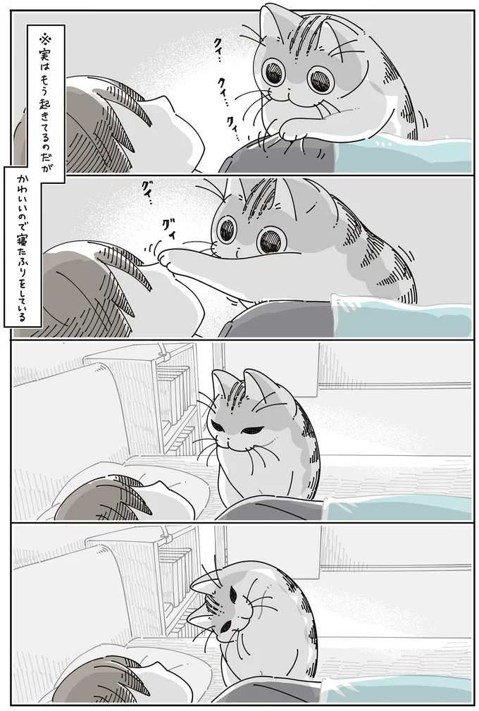 『夜は猫といっしょ』7～8 15588693.webp