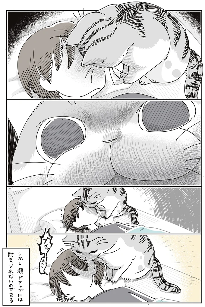 『夜は猫といっしょ』7～8 15588694.webp