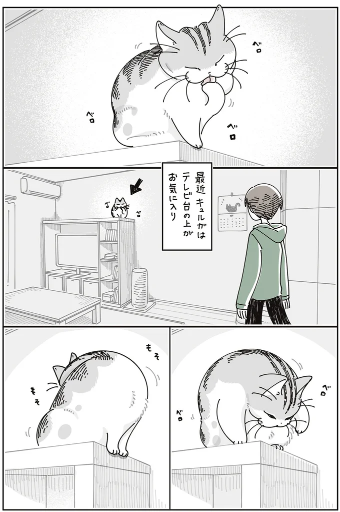 『夜は猫といっしょ』7～8 15588696.webp