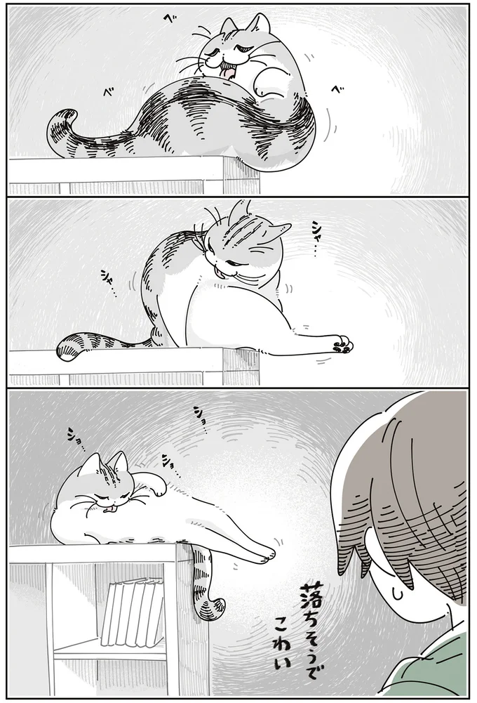 『夜は猫といっしょ』7～8 15588697.webp