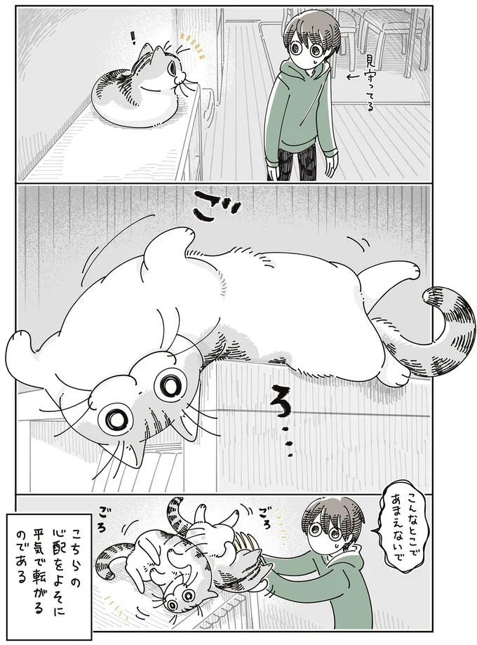 『夜は猫といっしょ』7～8 15588698.webp