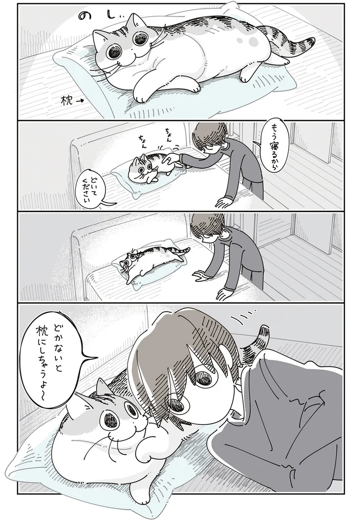 『夜は猫といっしょ』7～8 15588700.webp